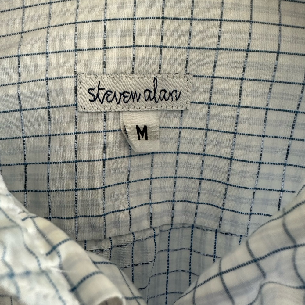 Steven Alan Blue/White Checkered Button Down (Size M)